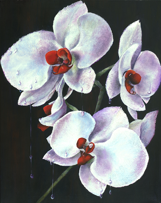 Joy in their tears by Myra Goldick Joy in their tears by Myra Goldick